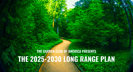 Long Range Plan