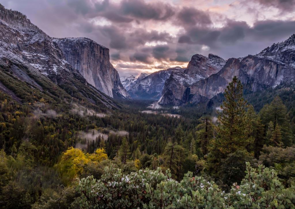 Conservation & Advocacy